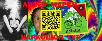 бошки Дубна