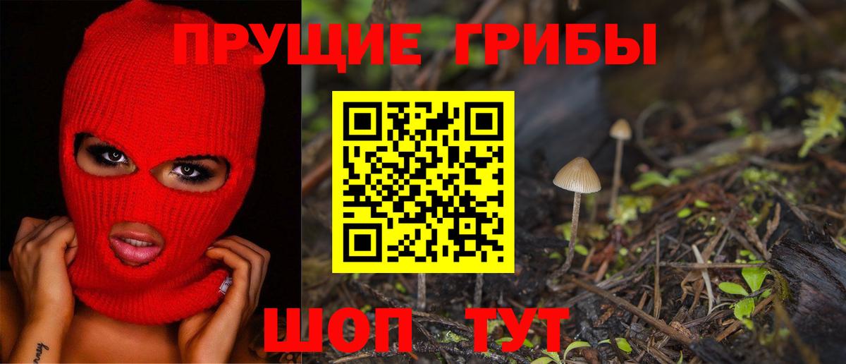 Галлюциногенные грибы мицелий Кизляр