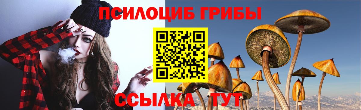 Галлюциногенные грибы Psilocybine cubensis  Галлюциногенные грибы MAGIC MUSHROOMS  хочу   Вход с VPN  Кизляр 